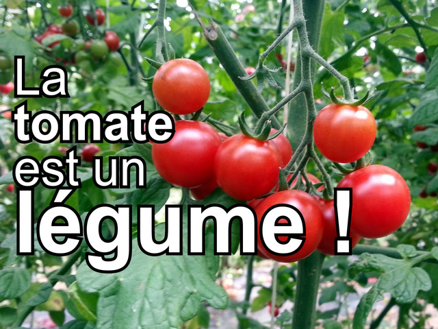 La tomate est un légume